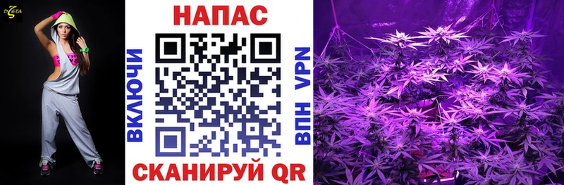 Шишки марихуана LSD WEED  Новосиль 
